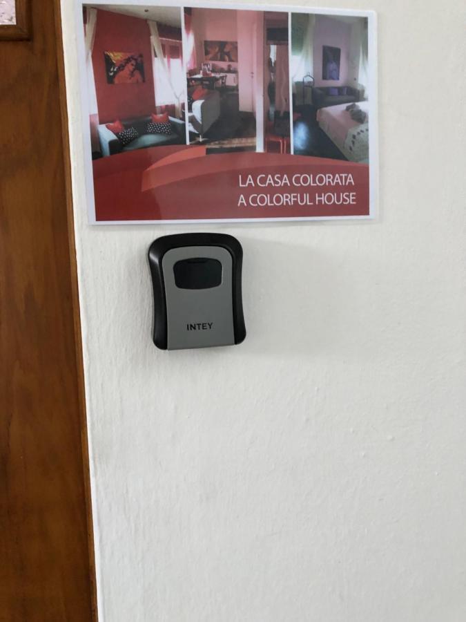Apartamento La Casa Colorata Pisa Exterior foto